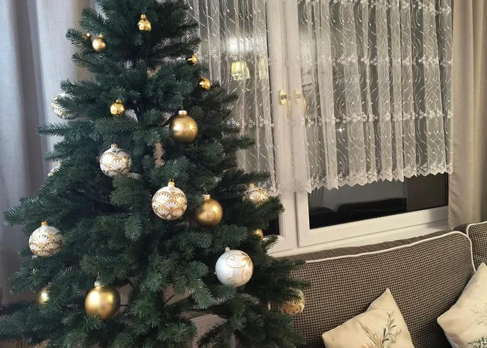 Apartmán Max Mikolów